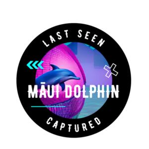 Captured - Money Box Design