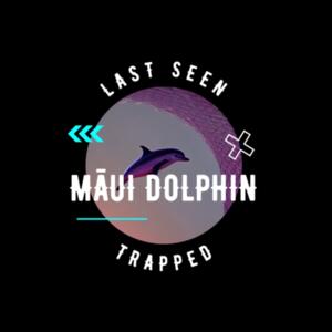 Trapped Wallet I Design