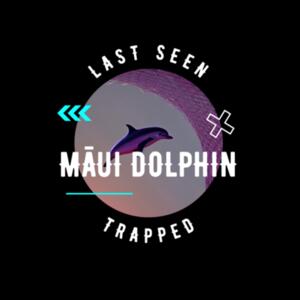 Trapped Tri Flag Design