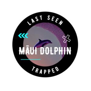 Trapped Tri Flag Design